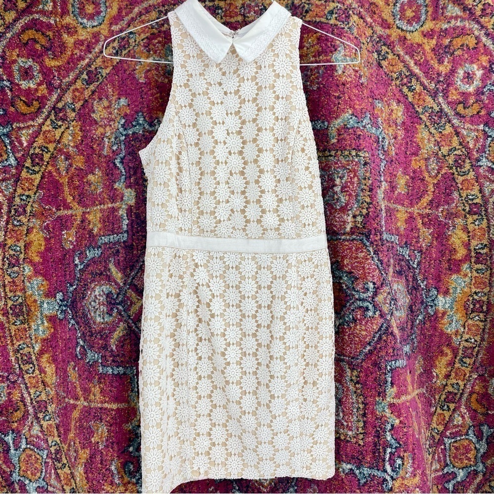 Anthropologie English Factory Flower Crochet Collar Sleeveless Fitted Dress